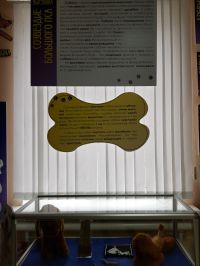 Обменная музейная выставка «Созвездие Большого Пса»